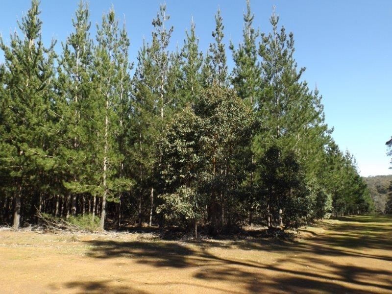 Lot 800 Greville Road, Bridgetown WA 6255