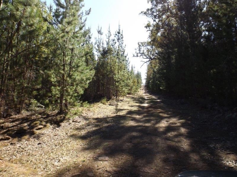 Lot 800 Greville Road, Bridgetown WA 6255