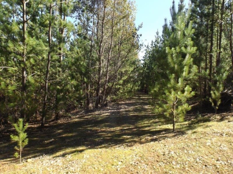 Lot 800 Greville Road, Bridgetown WA 6255