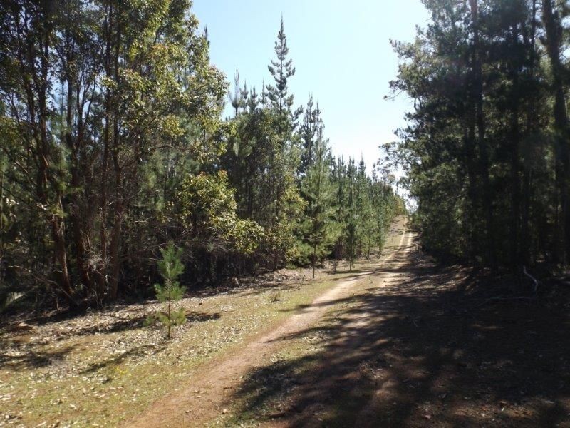 Lot 800 Greville Road, Bridgetown WA 6255