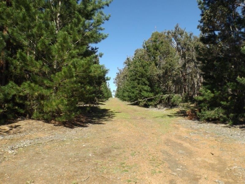 Lot 800 Greville Road, Bridgetown WA 6255