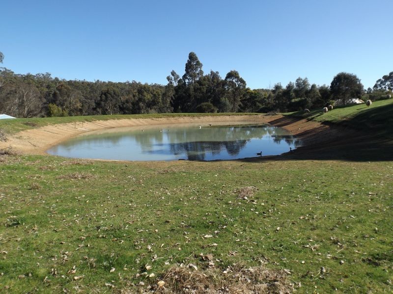 Lot 100 Grimwade Rd, Greenbushes WA 6254