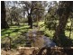 Lot 100 Grimwade Rd, Greenbushes WA 6254