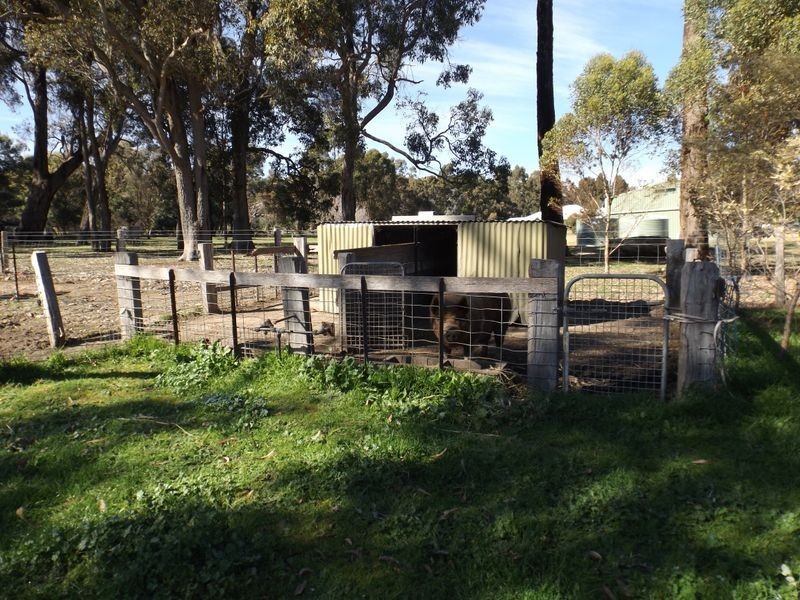 Lot 100 Grimwade Rd, Greenbushes WA 6254