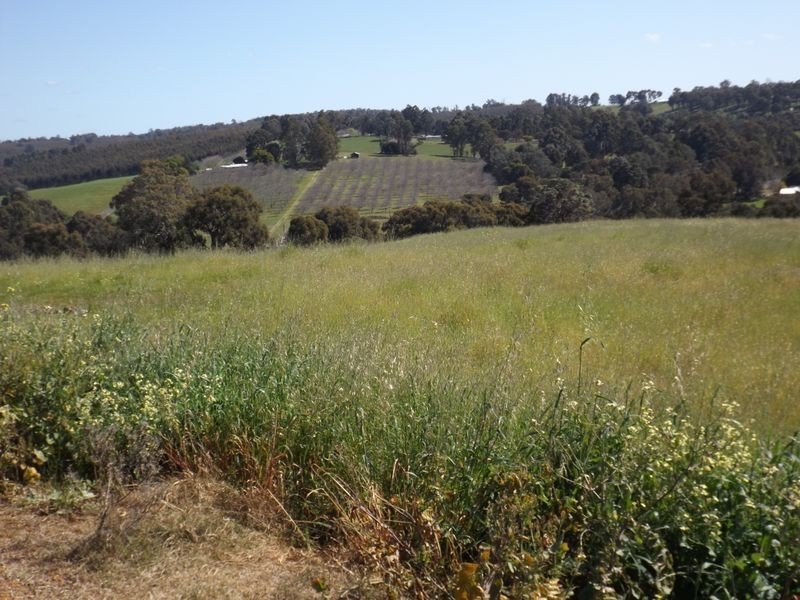 24 Dexter Rise, Bridgetown WA 6255