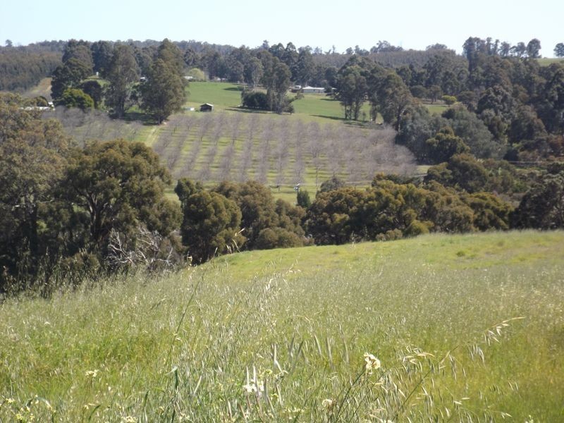 24 Dexter Rise, Bridgetown WA 6255