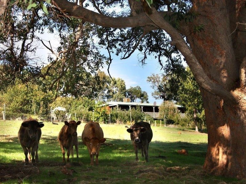 36 Campbell Street, Balingup WA 6253