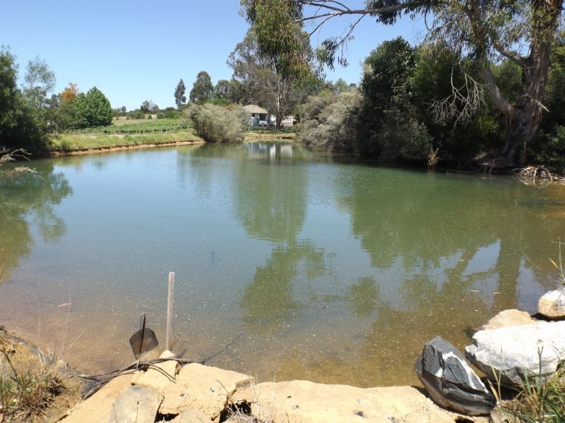 Lot 51 South West   Highway, Bridgetown WA 6255