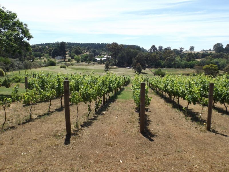 Lot 51 South West   Highway, Bridgetown WA 6255