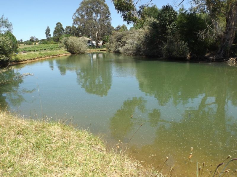 Lot 51 South West   Highway, Bridgetown WA 6255