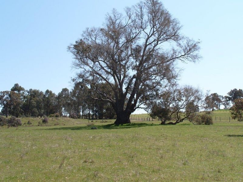 212 Ridgeview Avenue, Boyup Brook WA 6244