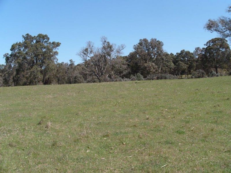 212 Ridgeview Avenue, Boyup Brook WA 6244