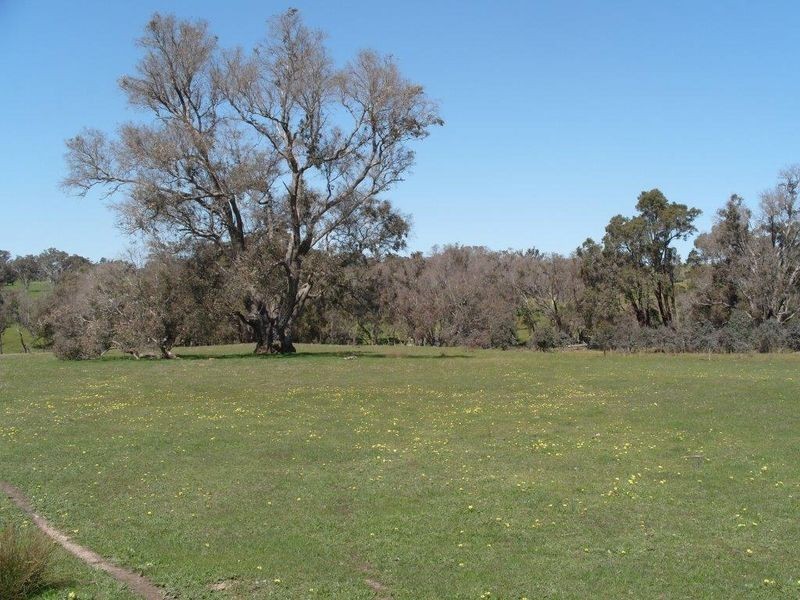 212 Ridgeview Avenue, Boyup Brook WA 6244