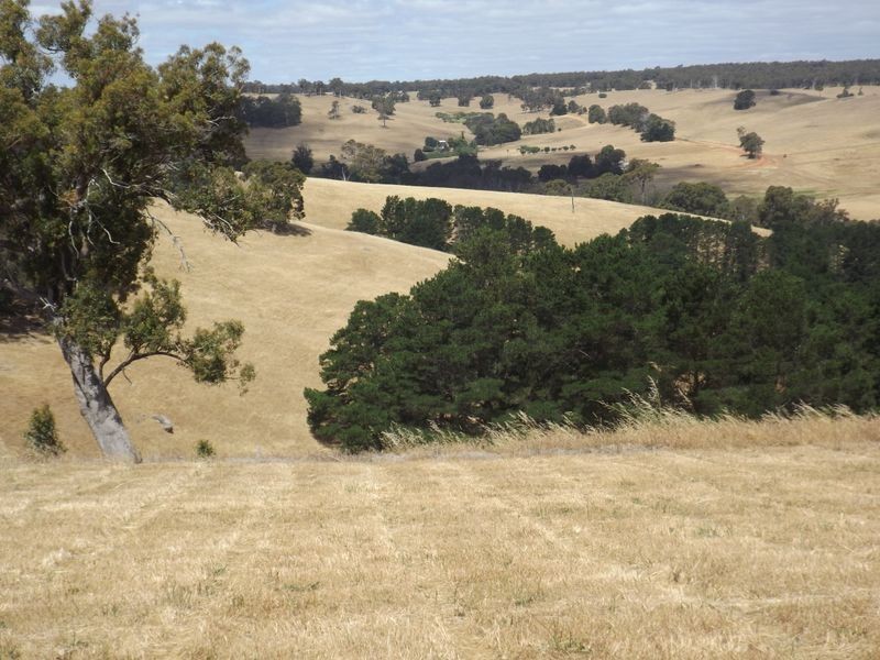 Lot 125 (1 Golden Ash Rise Bridgetown Gardens, Bridgetown WA 6255