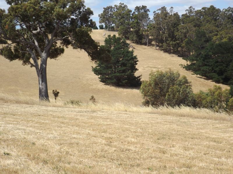 Lot 125 (1 Golden Ash Rise Bridgetown Gardens, Bridgetown WA 6255