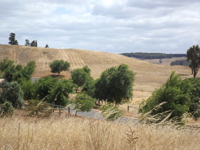 Lot 125 (1 Golden Ash Rise Bridgetown Gardens, Bridgetown WA 6255