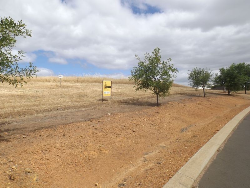 Lot 125 (1 Golden Ash Rise Bridgetown Gardens, Bridgetown WA 6255