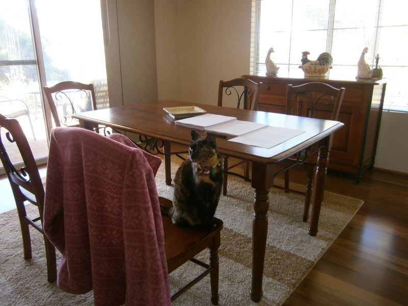 Lot 3 Railway Terrace, Bridgetown WA 6255