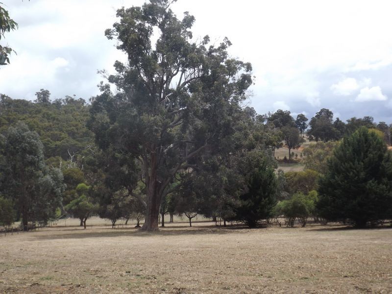 Lot 32 Henderson Road, Bridgetown WA 6255