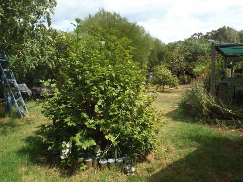 43 Padbury Road, Bridgetown WA 6255