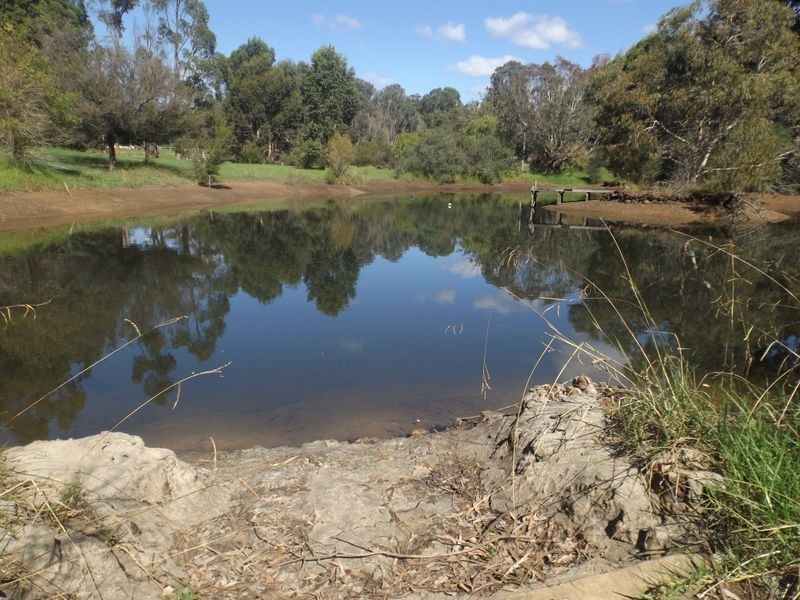 99 Grimwade-North Greenbushes Road, Greenbushes WA 6254