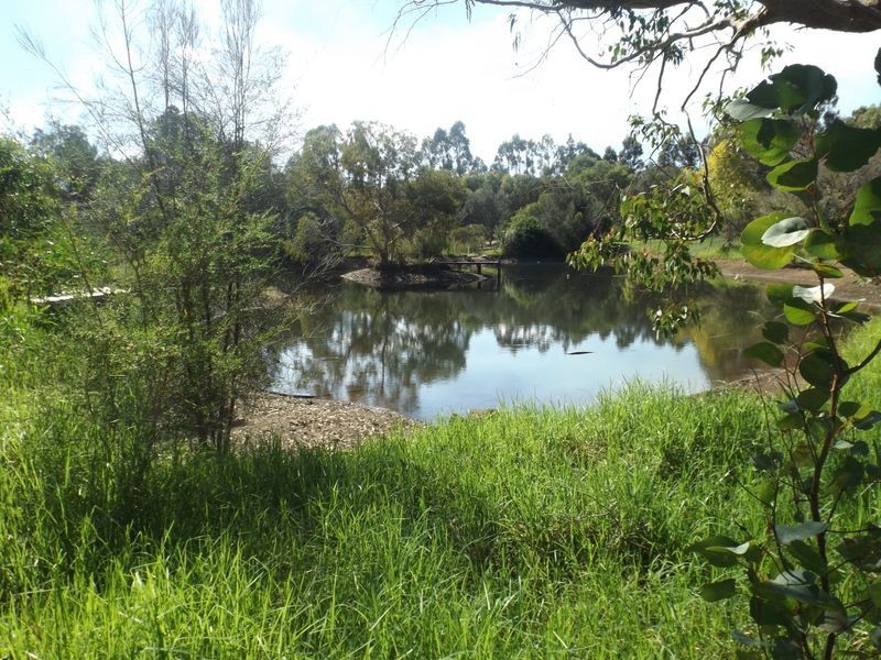 99 Grimwade-North Greenbushes Road, Greenbushes WA 6254