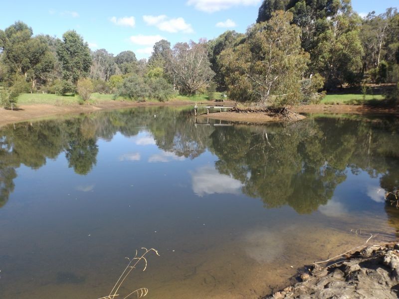 99 Grimwade-North Greenbushes Road, Greenbushes WA 6254