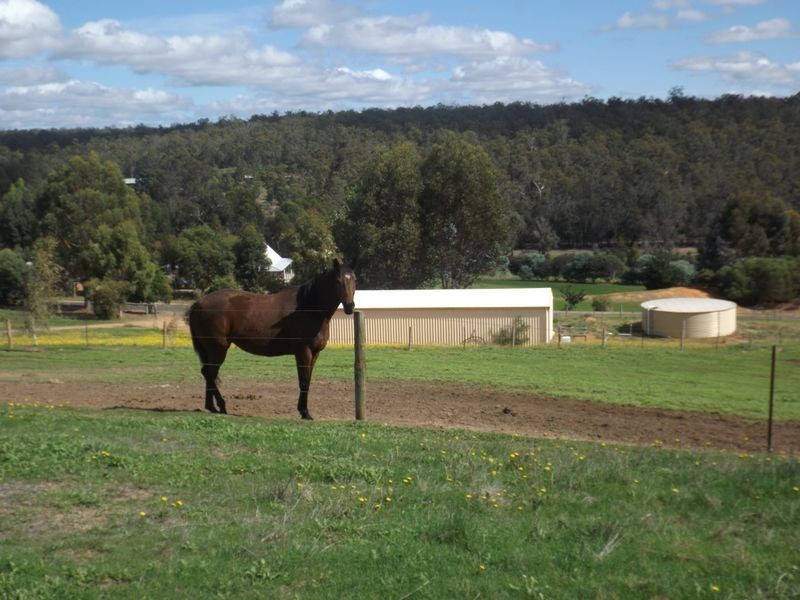 47 Forest View Court, Greenbushes WA 6254