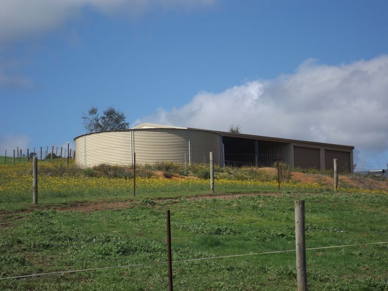 47 Forest View Court, Greenbushes WA 6254