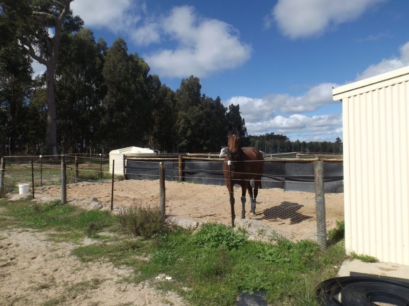 47 Forest View Court, Greenbushes WA 6254