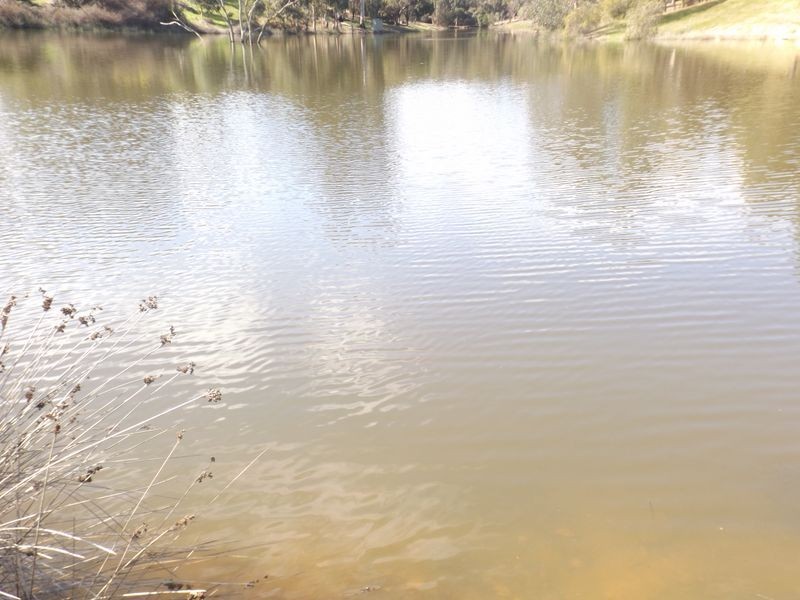 722 Walter Road, Bridgetown WA 6255