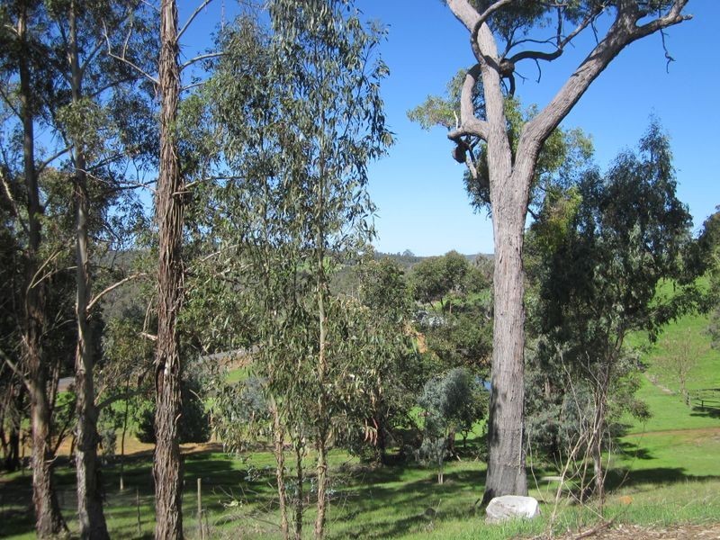 178 Tweed Road, Bridgetown WA 6255