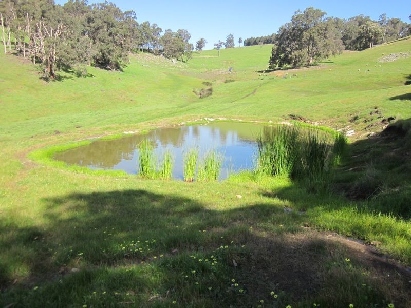 178 Tweed Road, Bridgetown WA 6255