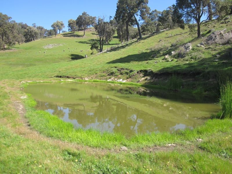 178 Tweed Road, Bridgetown WA 6255