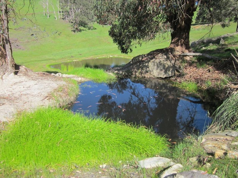 178 Tweed Road, Bridgetown WA 6255