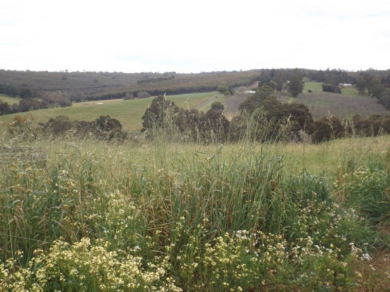 Lot 31 Dexter Rise, Bridgetown WA 6255