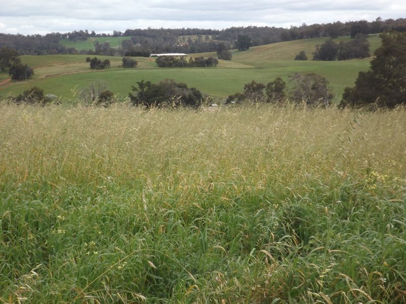 Lot 31 Dexter Rise, Bridgetown WA 6255