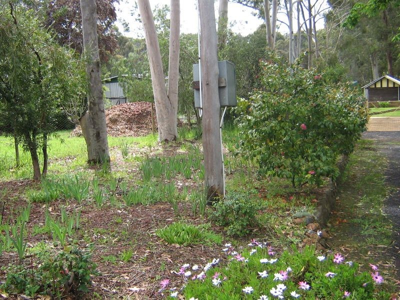 42 Nelson Street, Bridgetown WA 6255