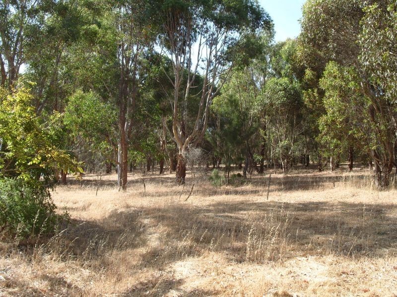 Lot 29 Nickajack Place, Bridgetown WA 6255