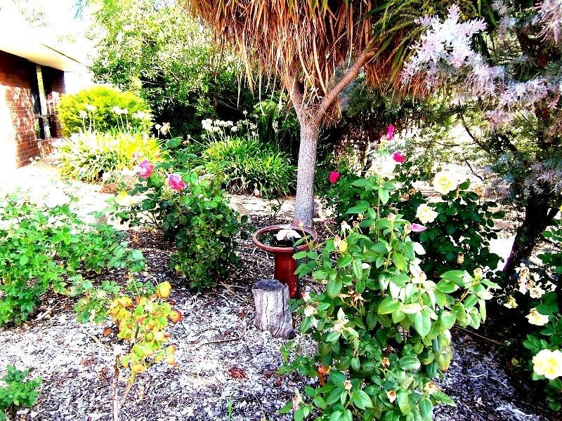 60 Williams Street, Boyup Brook WA 6244