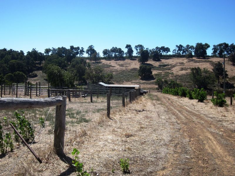 Lot 1169 Henderson Street, Bridgetown WA 6255