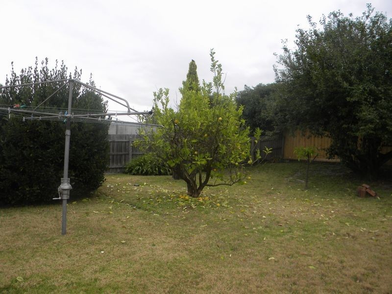 11 Bond Street, Clayton South VIC 3169