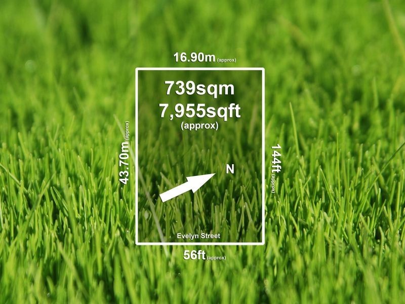 51 Evelyn Street, Clayton VIC 3168