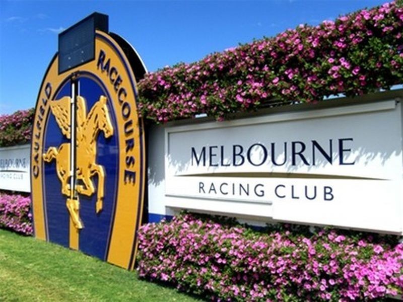 195 Kambrook Road, Caulfield VIC 3162