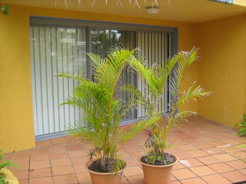 2/61-65 Tweed Coast Road, Cabarita Beach NSW 2488