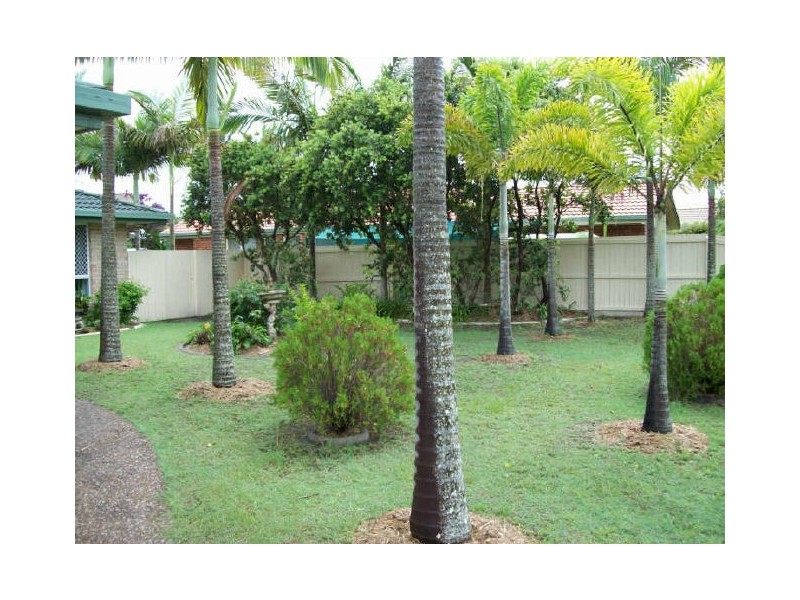 5 Sandalwood Drive, Cabarita Beach NSW 2488