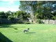 18 Oleander Avenue, Cabarita Beach NSW 2488