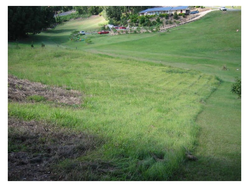 24 Clothiers Creek Road, Nunderi NSW 2484