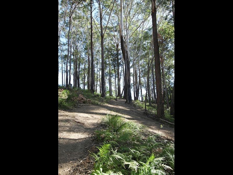 Lot 9 Clothiers Creek Road, Cabarita Beach NSW 2488