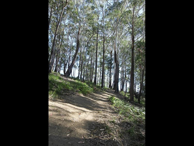 Lot 9 Clothiers Creek Road, Cabarita Beach NSW 2488